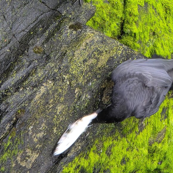 Welcome to my closet. I am open to bundle offers. - Picture 4 of 16